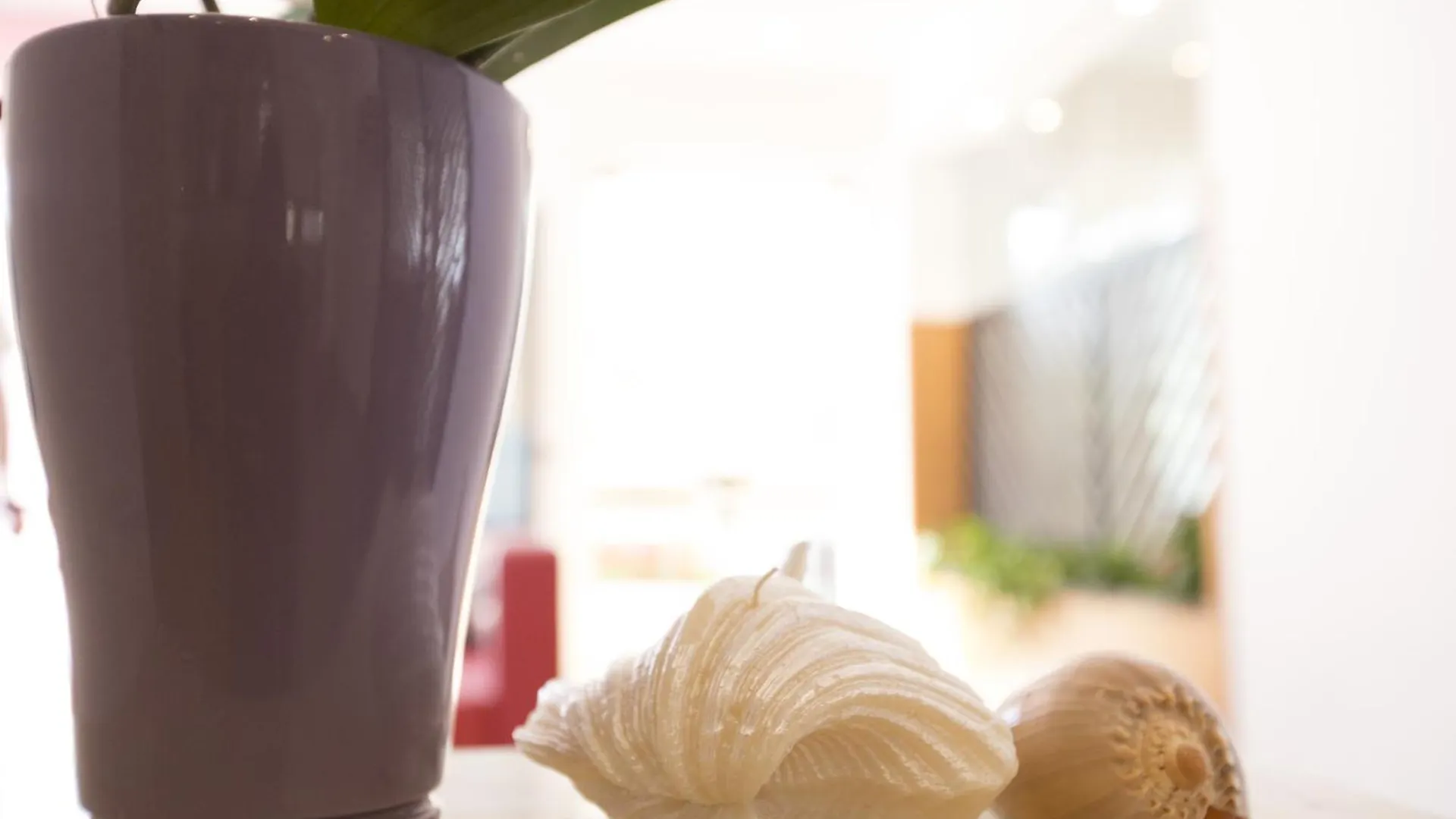 **  Hotel Brunella Rimini Italy